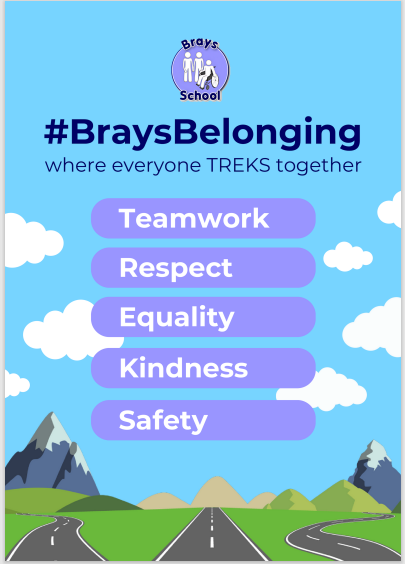 Brays Values