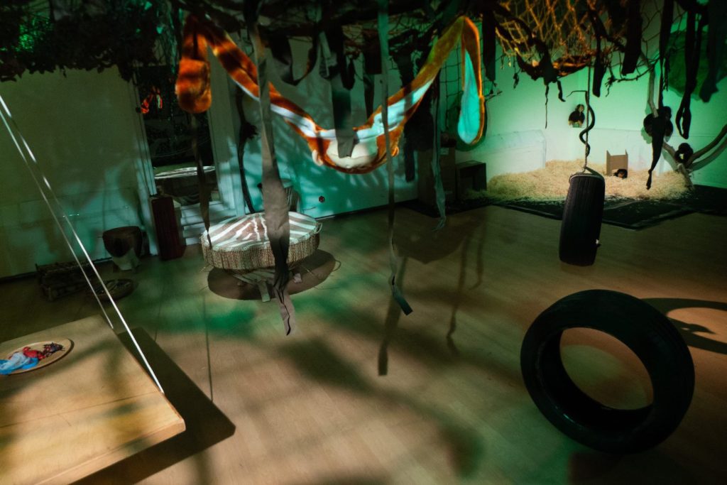 African rainforest (1 of 1)